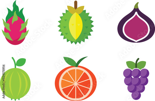 Vector illustration of exotic fruits including dragon fruit durian and grapes