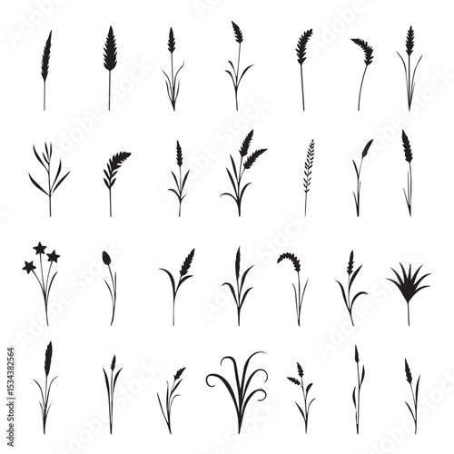 Collection of black silhouettes of various grasses and flowers