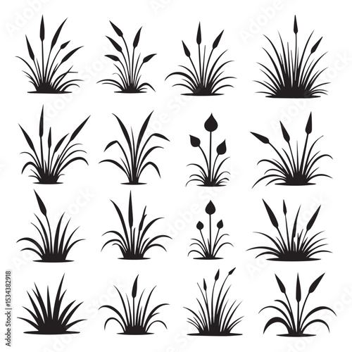 Collection of sixteen black silhouettes of aquatic plants