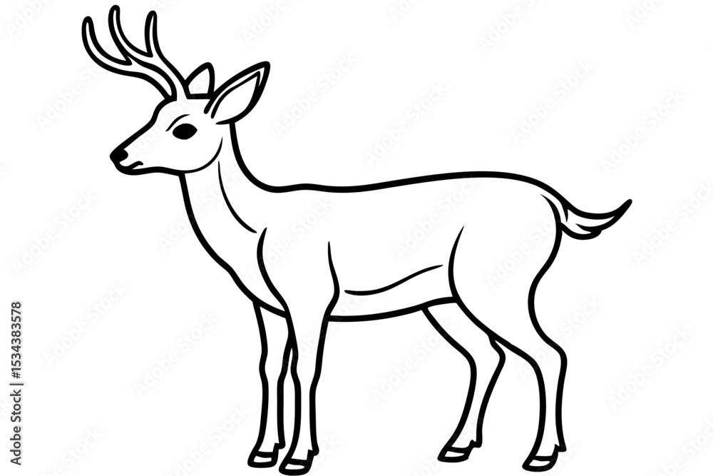 Fototapeta premium Elegant Deer Outline Vector