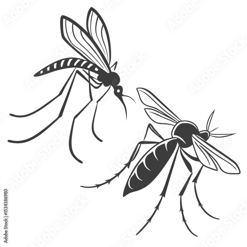 Macro close-up of a small black and yellow dragonfly with wings on a white background and on a flower in a summer garden, capturing the essence of nature's delicate insect wildlife