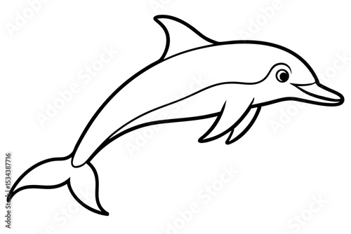 Elegant Dolphin Outline