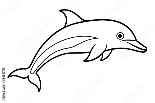 Elegant Dolphin Outline