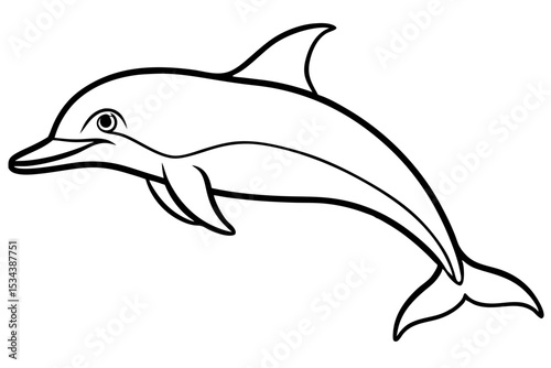 Elegant Dolphin Outline
