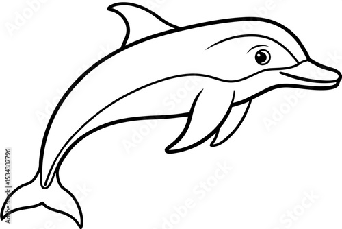 Elegant Dolphin Outline