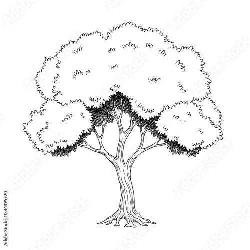 Black and white silhouette of a tree with detailed foliage   photo