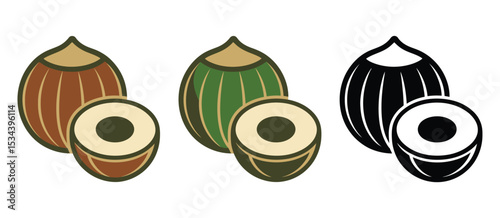 Hazelnut illustration set whole and halved