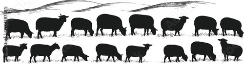 Rural Countryside Landscape with Grazing Sheep Silhouettes, Rolling Hills Background, Peaceful Farm Animal Scene, Vector Graphics for Agriculture and Nature Designs.