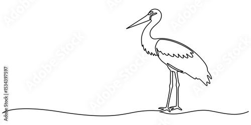 Heron stork single continuous one line out line vector art drawing on white background, Continuous one single minimal line drawing Cranes, Stork bird continuous one line drawing minimalism design.