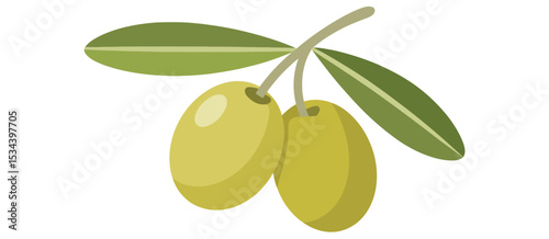 Two green olives on branch with leaves
