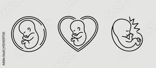 Fetus development stages line art illustrations