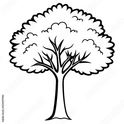 Black and White Drawing of an Elm Tree in Summer tree drawing