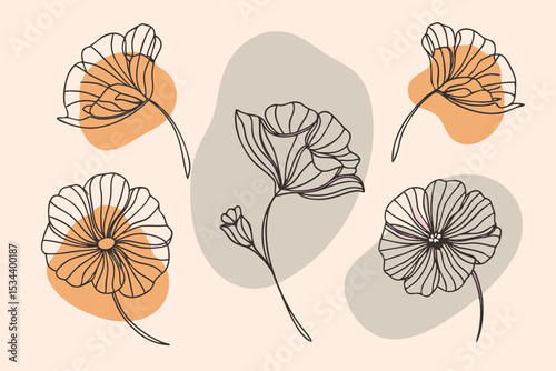 seamless pattern with poppy