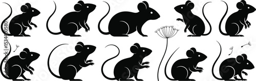 Set of black silhouette mice poses, vector illustration with playful action, rodents, tail, paws, whiskers, mouse graphic, wildlife clipart, animal behavior icons, and dandelion flower