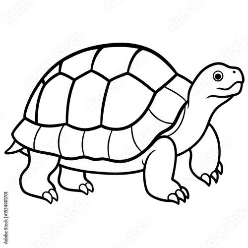 Geometric Tortoise Vector