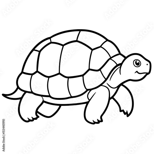 Geometric Tortoise Vector