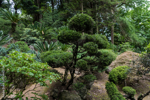 Japanese garden in the Botanical Garden of Georgia Asian plants Shrubs