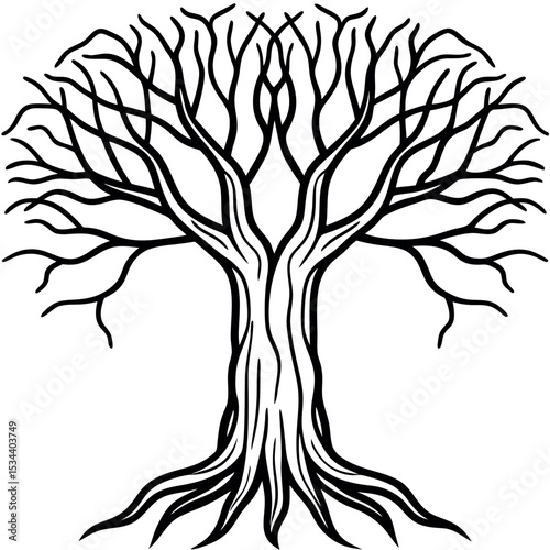 Black Outline Banyan Tree Branches Roots Illustration