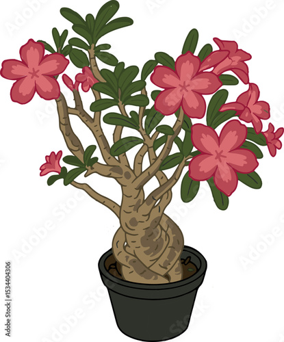 Bonsai trees, in general, symbolize harmony, peace, balance and beauty.