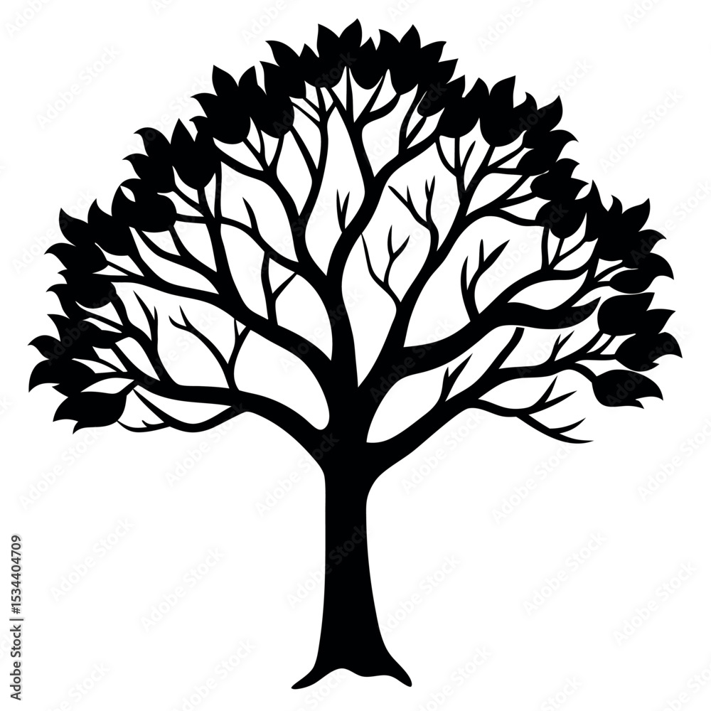 Obraz premium Black Silhouette Elm Tree Arching Branches Dense Leaves 1