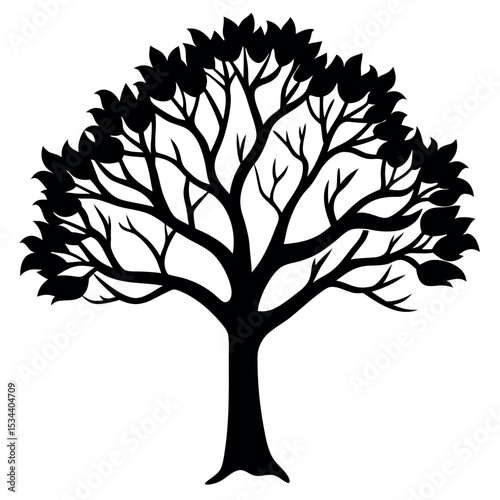 Black Silhouette Elm Tree Arching Branches Dense Leaves 1