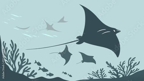 Manta rays swimming underwater in the blue ocean. Beautiful marine life, fish, and coral reef habitat.