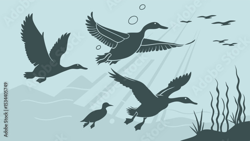 Ducks and geese flying swimming and diving underwater in a natural lake Wild waterfowl birds in flight