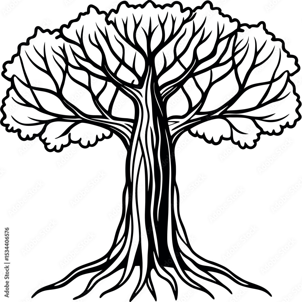 Obraz premium Intricate Line Art Mature Banyan Tree Black White black and white