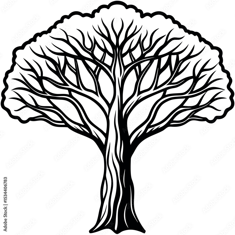 Obraz premium Large Banyan Tree Black and White Illustration Canopy Branches Trunk