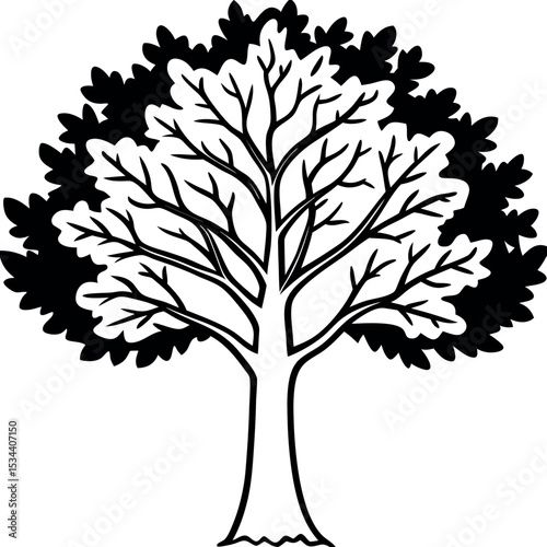 Large Elm Tree Black and White Illustration Branch Texture Leaf Design