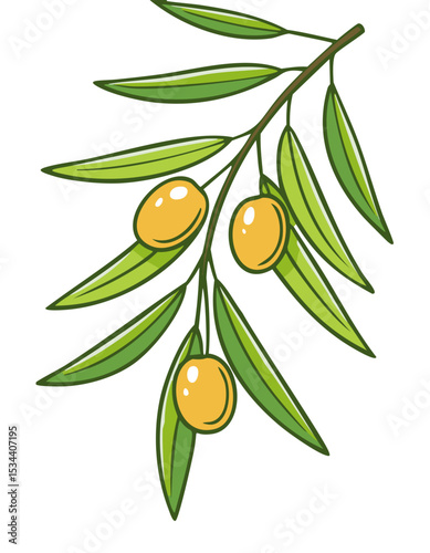 Olive Branch with Leaves and Fruits – Vector Illustration for Mediterranean Food Branding and Organic Label Design