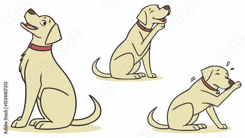 Cute Yellow Labrador Golden Retriever dog set. Pet sitting, looking up, and scratching ear. Isolated vector illustration.