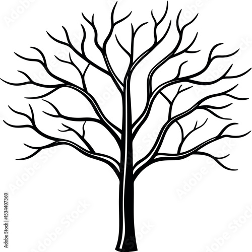 Minimalist Black and White Vector Elm Tree Winter Branches