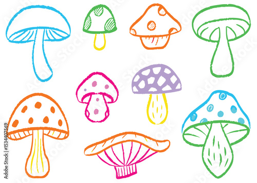 A vibrant vector illustration set of diverse mushrooms with autumnal forest elements, perfect for seamless patterns or food icons