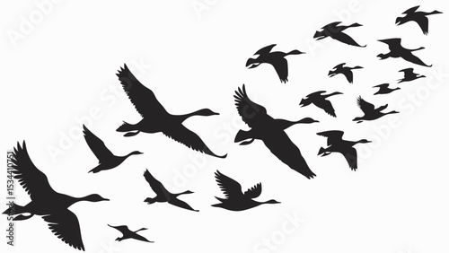 Flock of flying geese in V formation. Black silhouettes of migrating wild birds in the sky. Nature, freedom, journey.