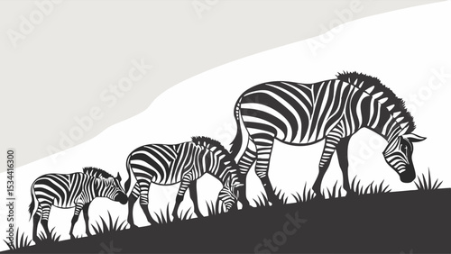 Family of zebras grazing on a grassy hill. Black and white vector wildlife illustration.