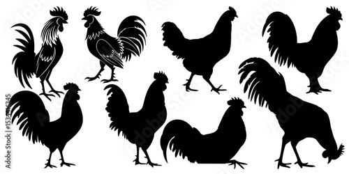 Vector art of a collection of eight vector silhouettes of roosters, isolated on white background, showcasing various postures and tail feather details
