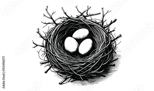 Bird Nest With Eggs Illustration Black And White Graphic