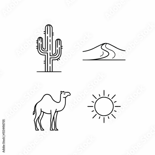 Desert Landscape & Environment