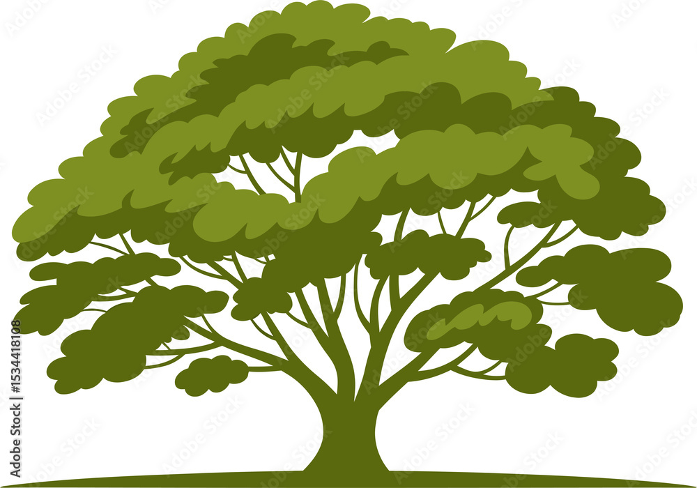 Obraz premium Detailed Oak Tree.