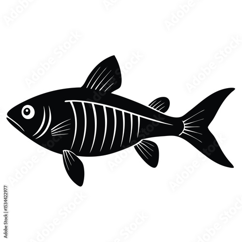 x ray letra fish vector Illustrator 