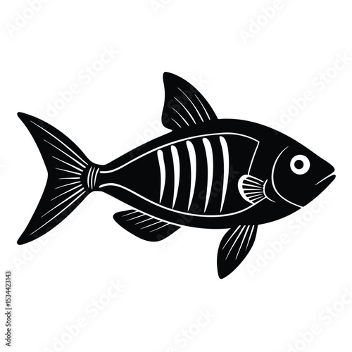 x ray letra fish vector Illustrator 