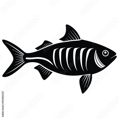 x ray letra fish vector Illustrator 
