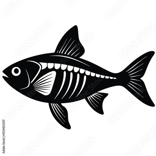 x ray letra fish vector Illustrator 