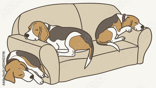 Cute group of three beagle dogs sleeping soundly on a comfortable couch, representing pet relaxation, comfort, and tiredness indoors