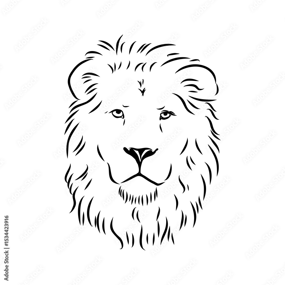 Obraz premium lion, vector sketch