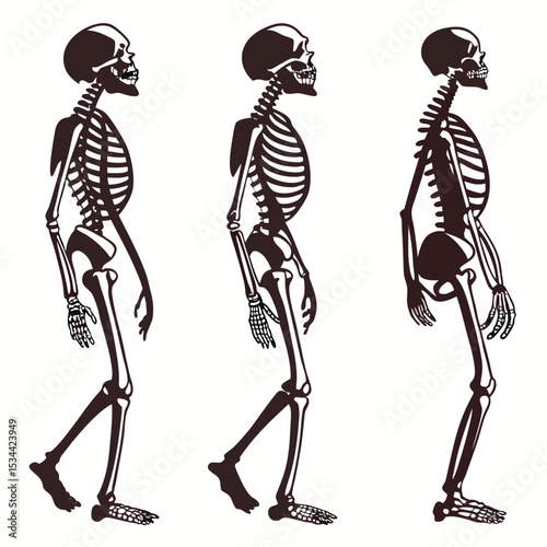 black-human-skeletons-set.eps