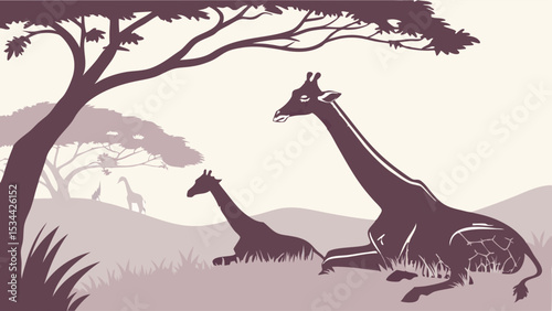 Peaceful Two Giraffes Resting in African Savanna Wildlife Nature