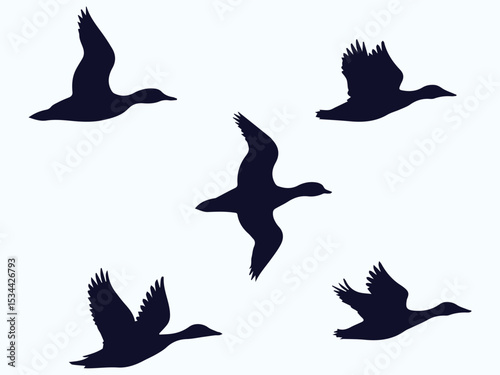 flying duck vector illustration, collection of flying duck silhouette on white background graphic art