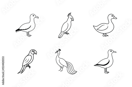 Line art vector illustration set of albatross cockatoo duck macaw seagull peacock Line Art Vector illustration